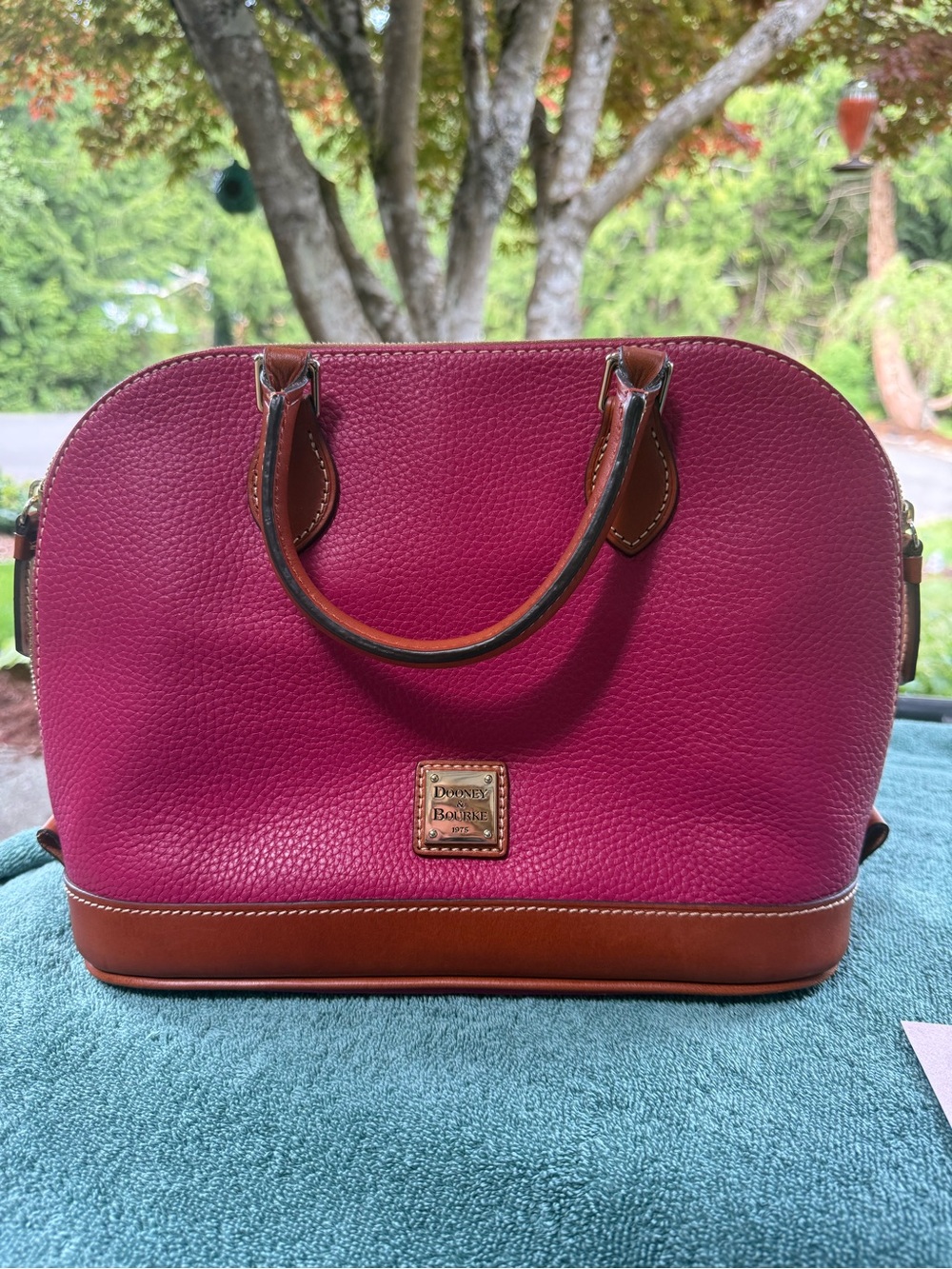 Dooney & Bourke Pink Zip Satchel with Brown Trim